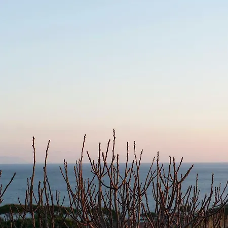 Panoramic